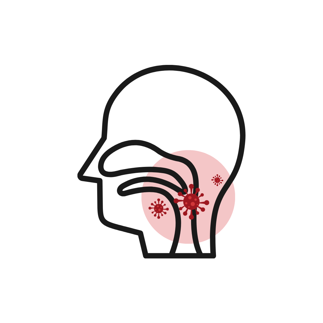 illustration of a cell in a throat